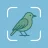 BirdTunes app icon